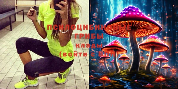 альфа пвп Горнозаводск