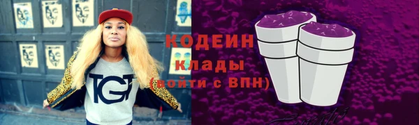 прущие крисы Горняк