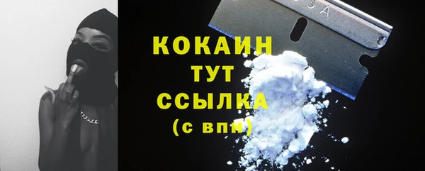 альфа пвп Горнозаводск