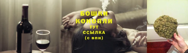 прущие крисы Горняк