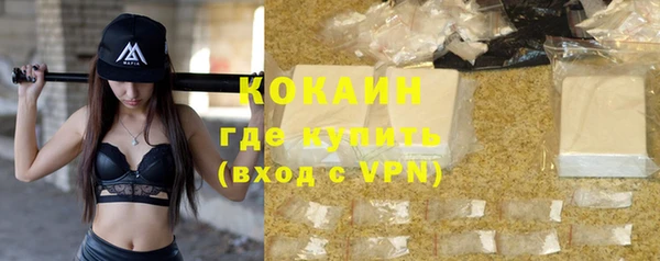 прущие крисы Горняк