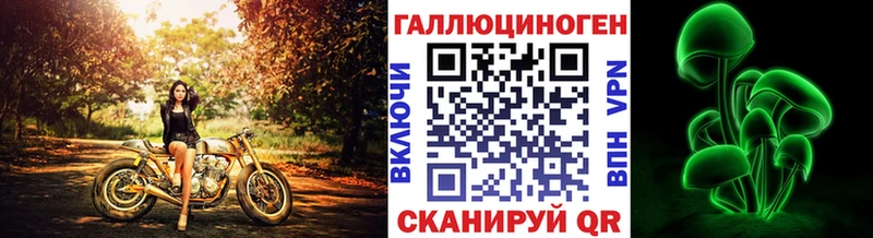 Галлюциногенные грибы Psilocybine cubensis  Купить  Карабулак 